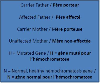 Transmission génétique | Canadian Hemochromatosis Society